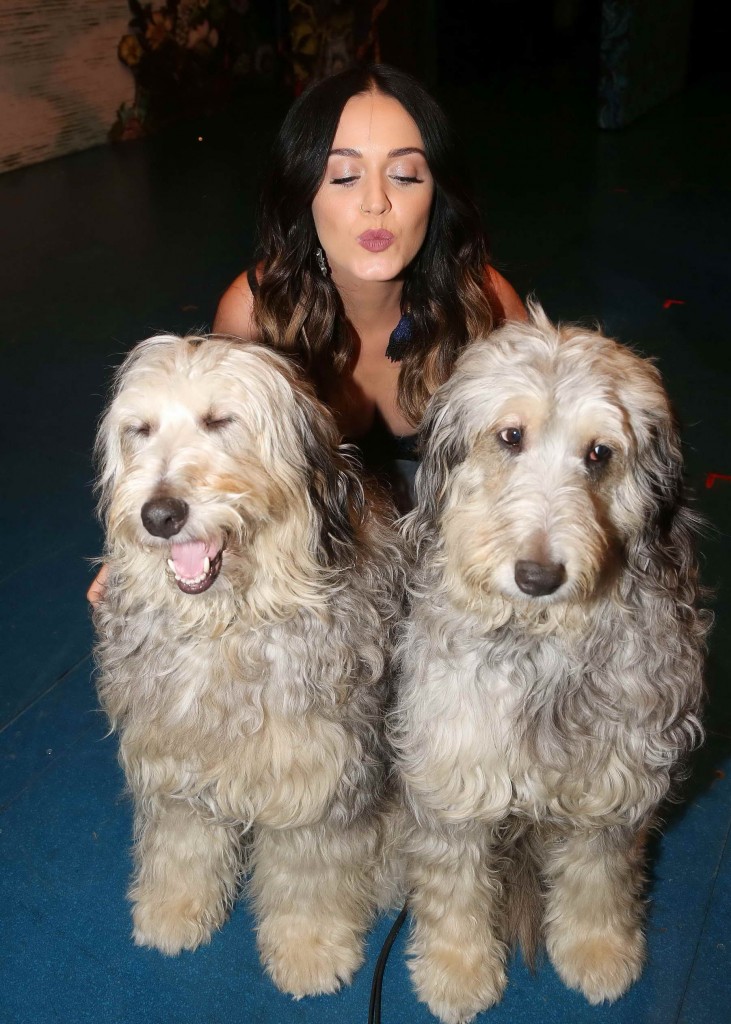 Katy Perry Attend Broadway's Finding Neverland in NYC 8/26/2015-1