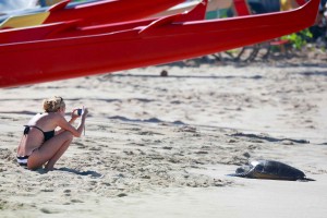 Camille Grammer in Bikini at the Beach Kona-5