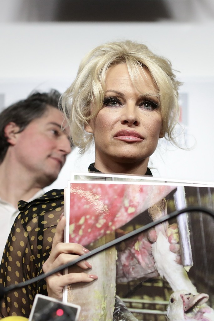 Pamela Anderson at a Press Conference With French Deputy Laurence Abeille in Paris 01/19/2016-1