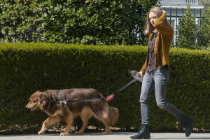 Amanda Seyfried on the Set of The Last Word in Los Angeles 03/05/2016-9