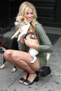 Hailey Clauson at the Dylan's Candy BarN Dog Adoption Event in New York 05/14/2016-4