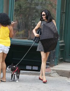 Famke Janssen Was Spotted Out in New York City 07/10/2016-2