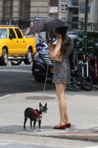 Famke Janssen Was Spotted Out in New York City 07/10/2016-4