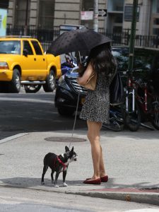 Famke Janssen Was Spotted Out in New York City 07/10/2016-5