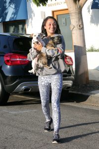 Cara Santana Picks up Her Two Dogs in West Hollywood 08/27/2016-2