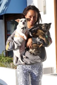 Cara Santana Picks up Her Two Dogs in West Hollywood 08/27/2016-4
