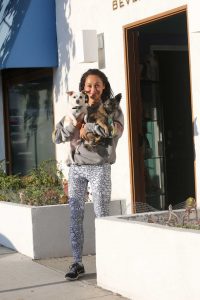 Cara Santana Picks up Her Two Dogs in West Hollywood 08/27/2016-5