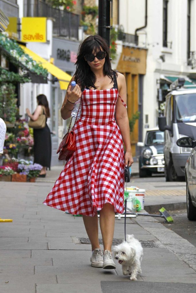 Daisy Lowe Was Seen Walking Her Dog in Primrose Hill, London 08/27/2016-1