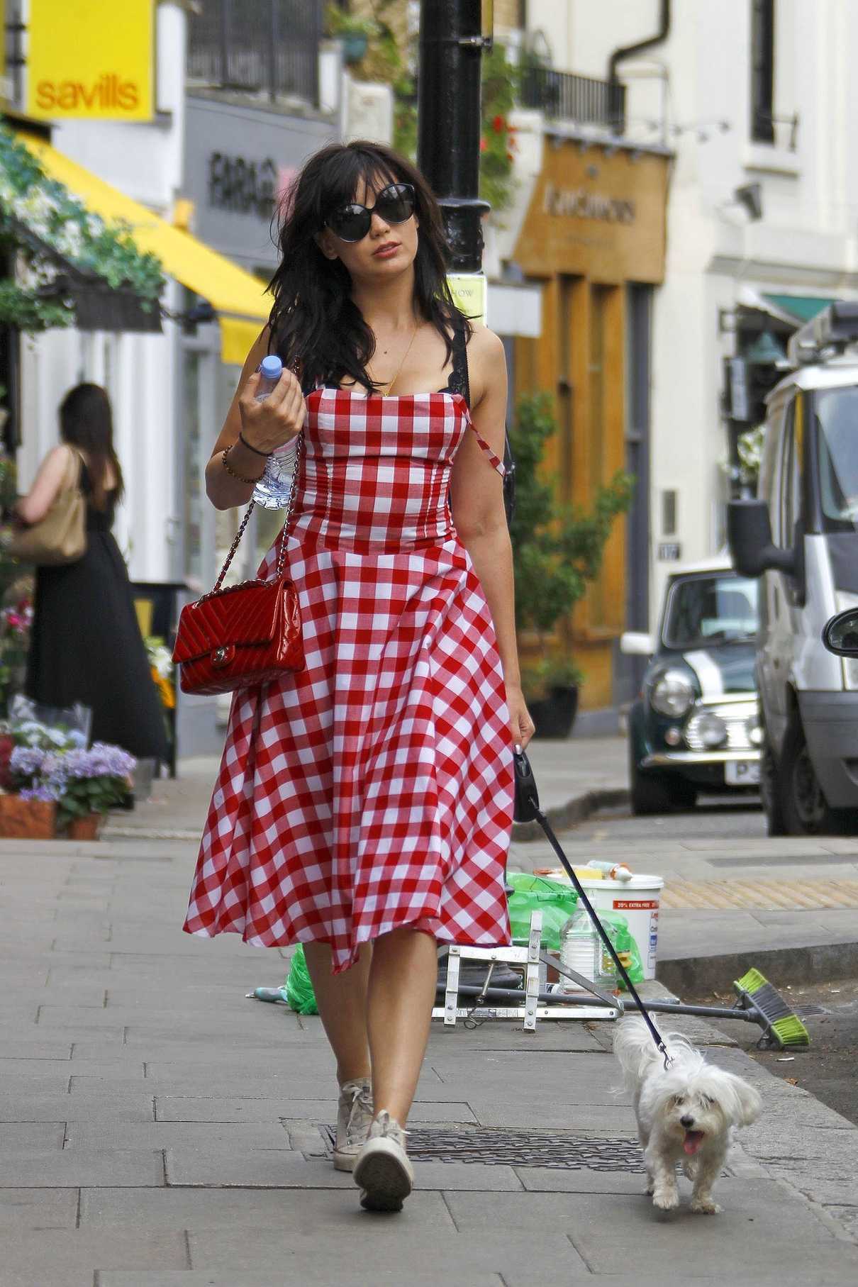 Daisy Lowe Was Seen Walking Her Dog in Primrose Hill, London 08/27/2016