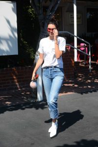 Kendall Jenner Leaves Fred Segal in Los Angeles 08/22/2016-2