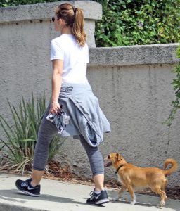 Minka Kelly Walks Her Dog in Hollywood 09/12/2016-3