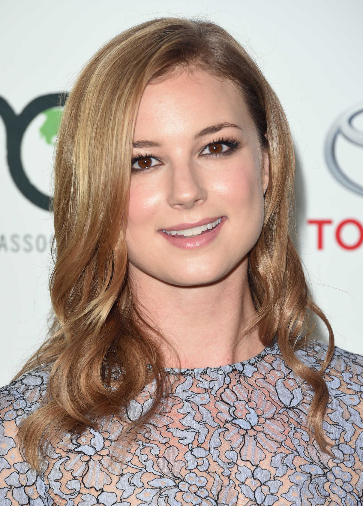 Emily VanCamp at Environmental Media Awards in Burbank 10/22/2016-5