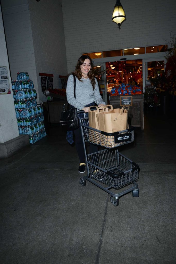 Sophie Simmons Goes Shopping at Bristol Farms in Los Angeles 11/23/2016-1