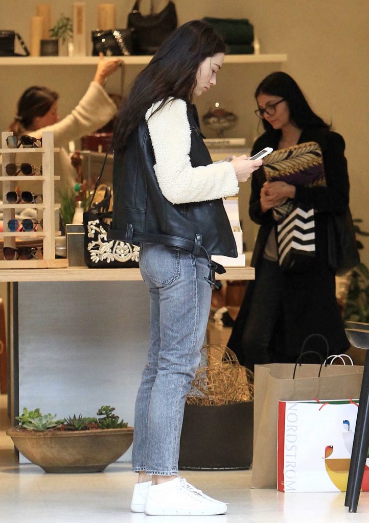 Crystal Reed Goes Shopping at the Grove in West Hollywood 12/21/2016-1