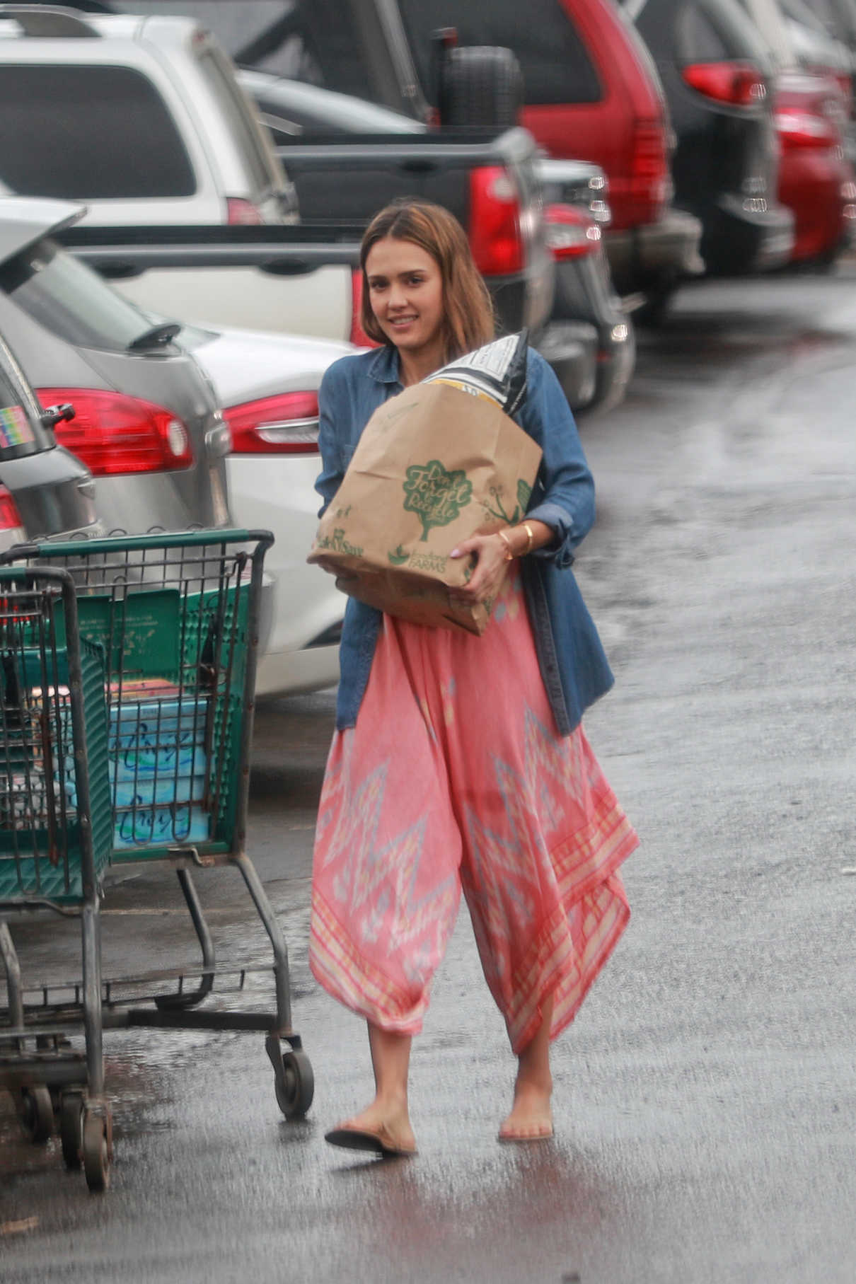 Jessica Alba Goes Shopping Out in Hawaii 12/29/2016-5
