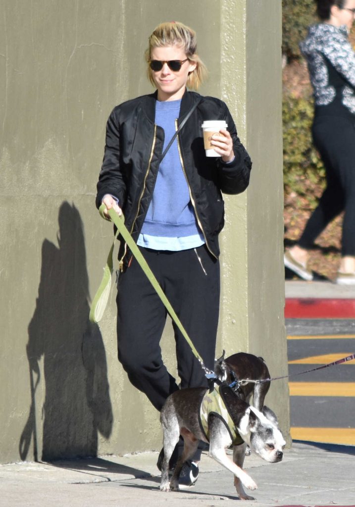 Kate Mara Walks Her Dogs With Jamie Bell in Los Feliz 12/17/2016-1