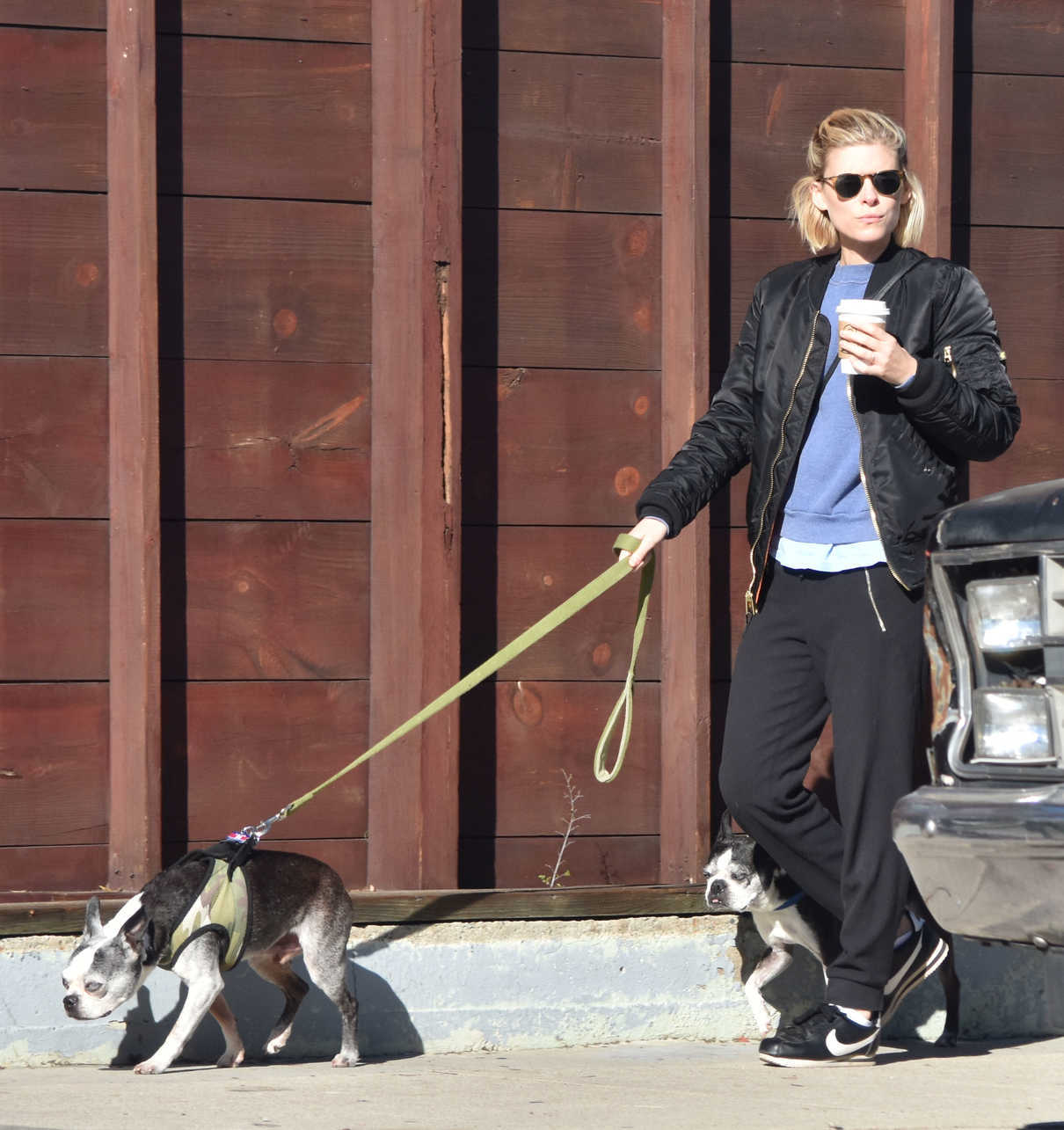 Kate Mara Walks Her Dogs With Jamie Bell in Los Feliz 12/17/2016-5