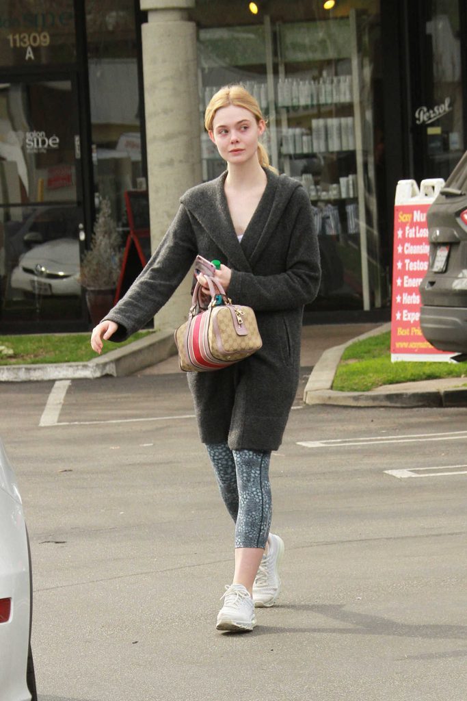 Elle Faang Was Seen Out in Los Angeles 01/18/2017-1