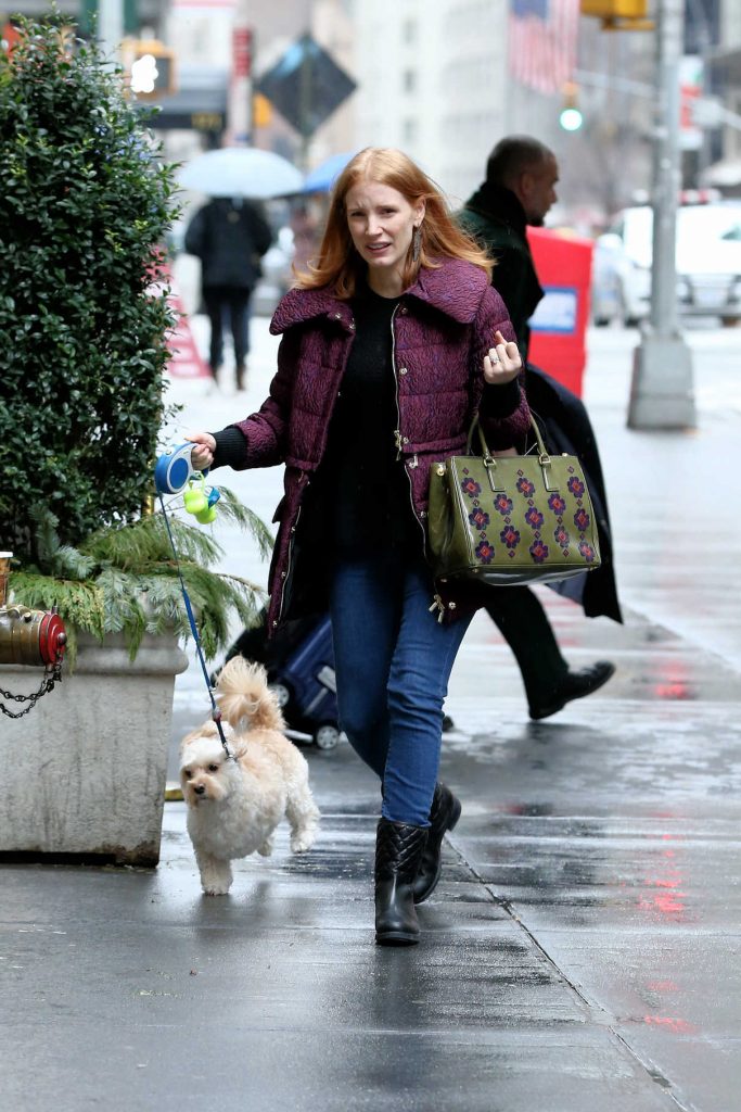 Jessica Chastain Walks Her Dog Out in New York City 01/02/2017-1