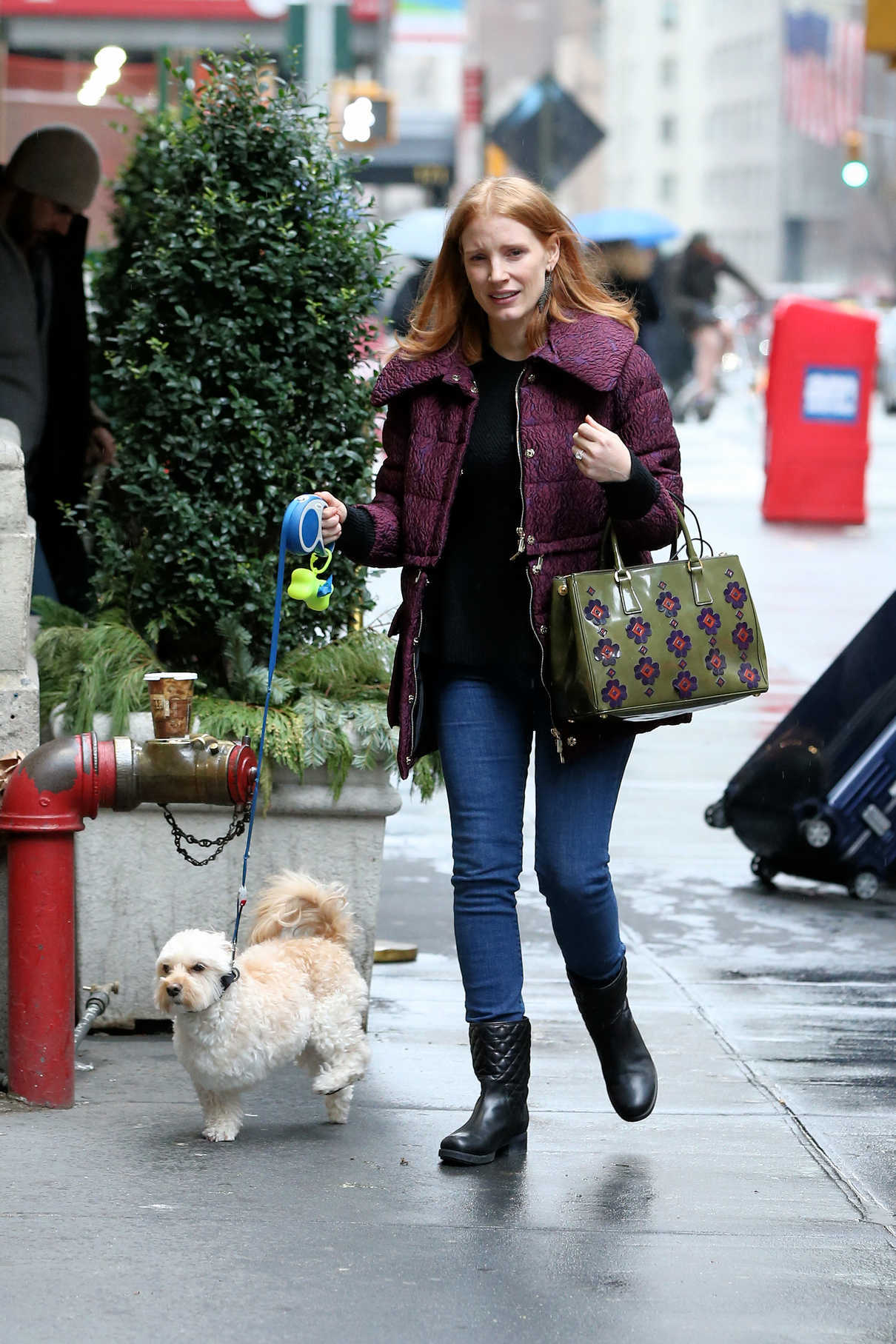 Jessica Chastain Walks Her Dog Out in New York City 01/02/2017-2