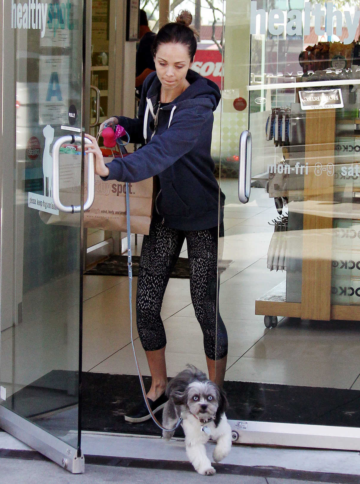 Laura Vandervoort Walks Her Dog in West Hollywood 01/26/2017-3