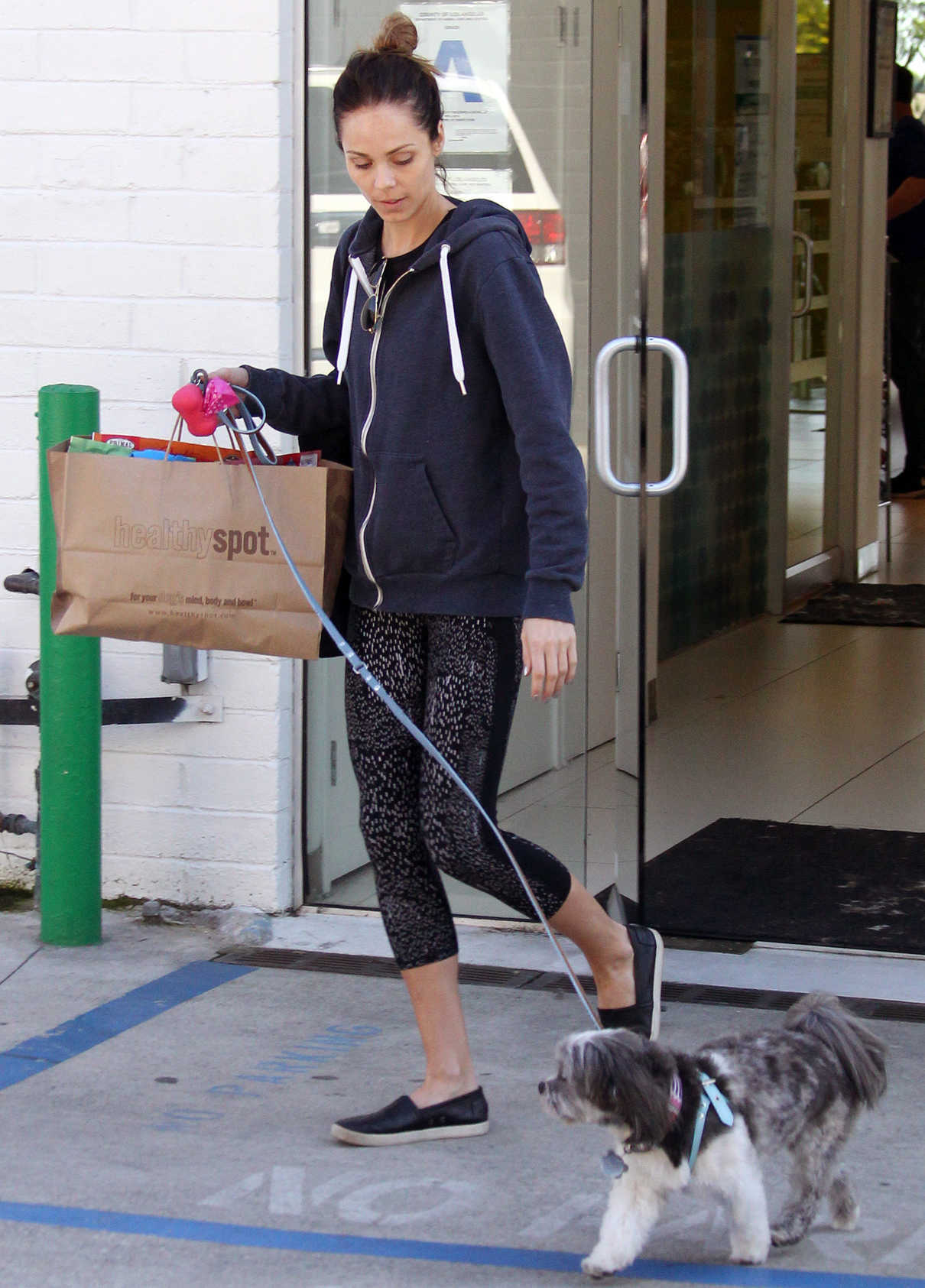 Laura Vandervoort Walks Her Dog in West Hollywood 01/26/2017-4