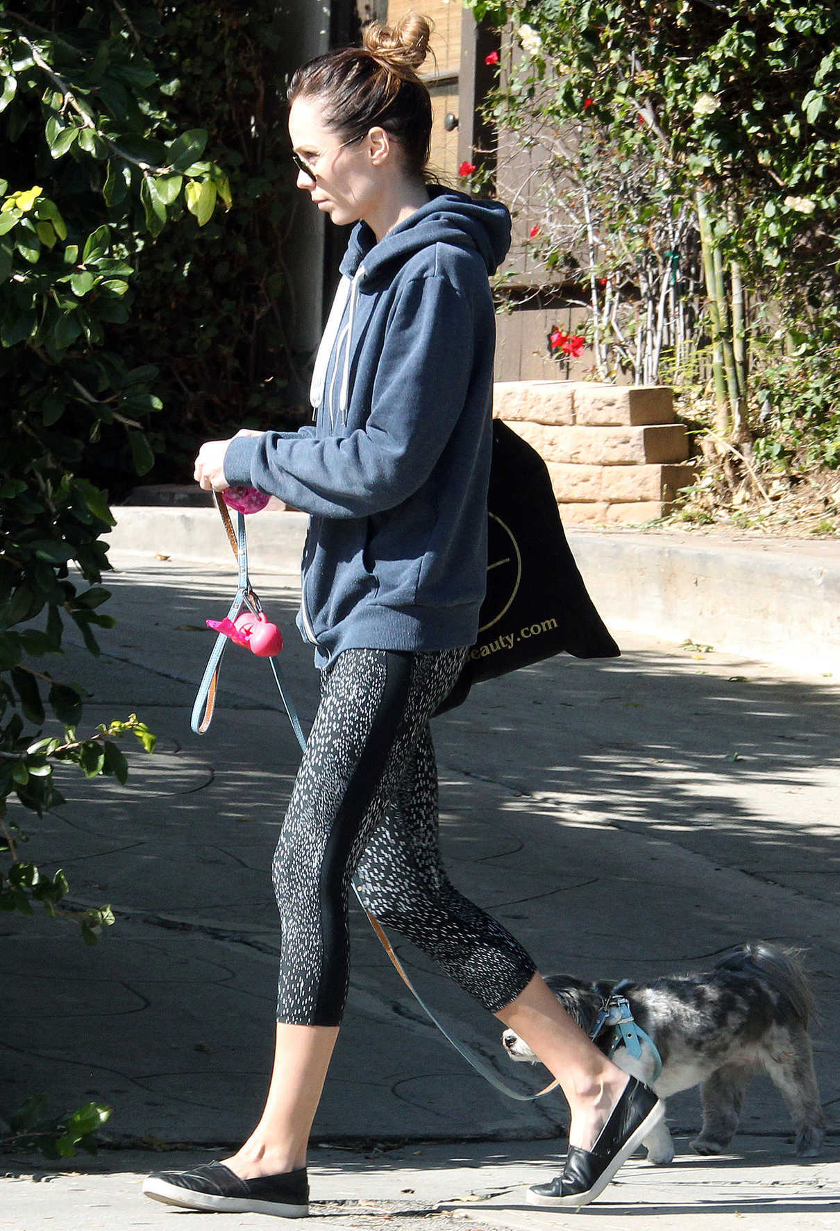 Laura Vandervoort Walks Her Dog in West Hollywood 01/26/2017-5