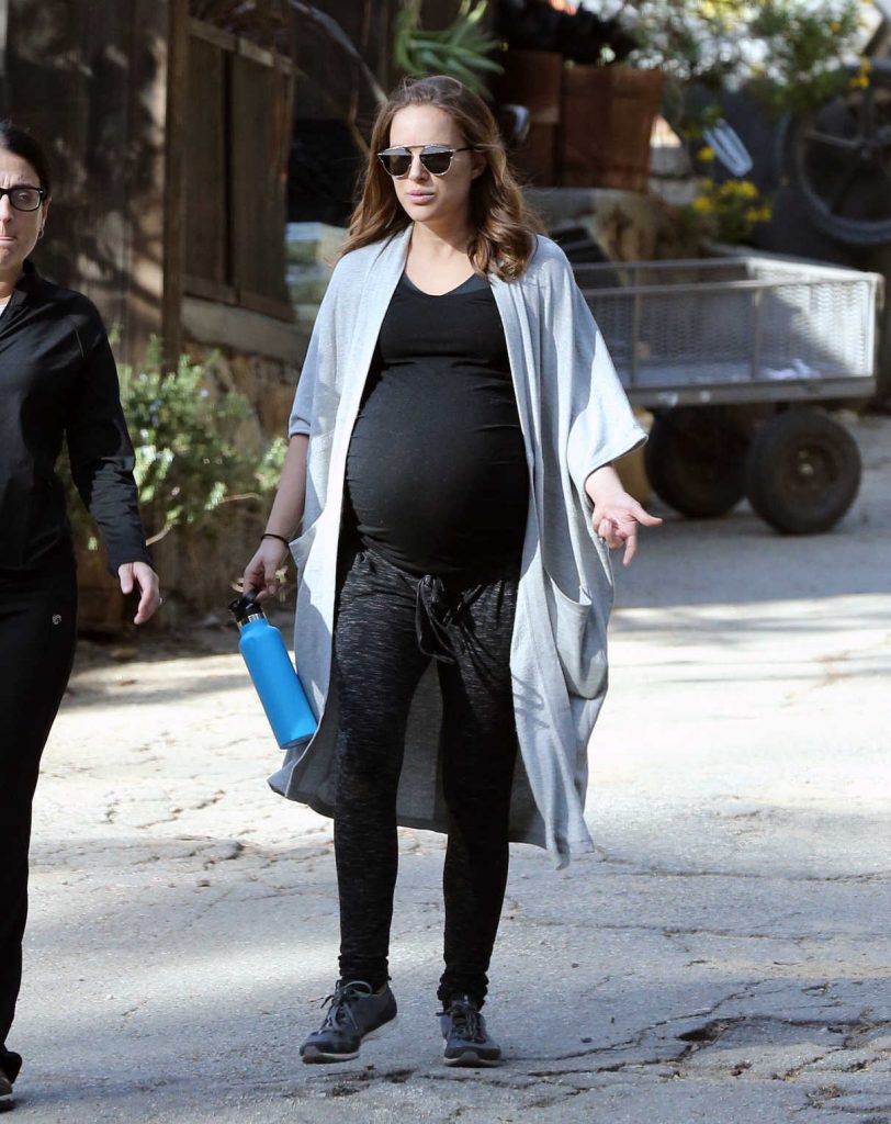 Natalie Portman Was Sen Out in Los Feliz 01/31/2017-1