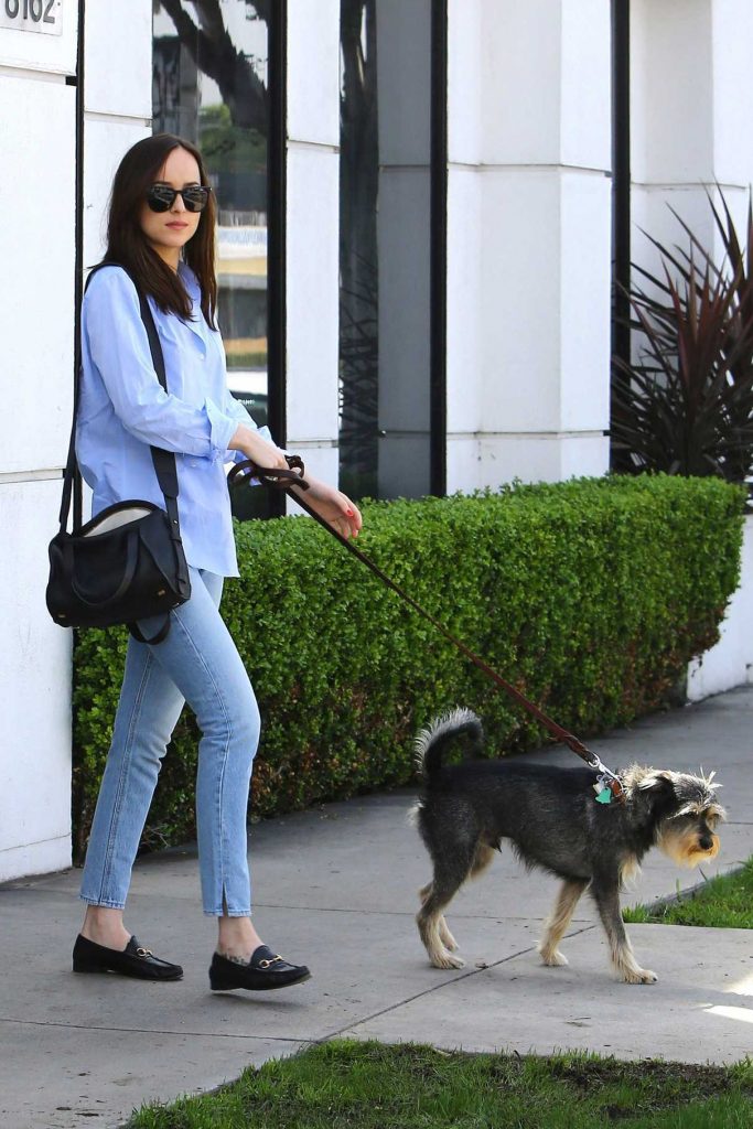 Dakota Johnson Was Seen With Her Dog Out in West Hollywood 03/17/2017-1