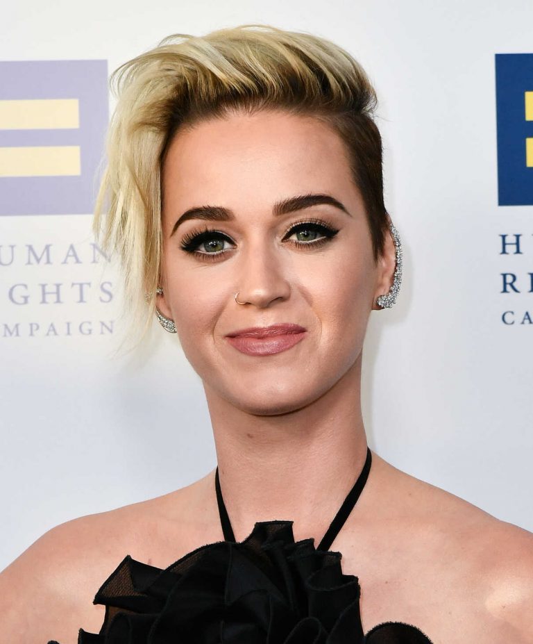 Katy Perry at the Human Rights Campaign Gala Dinner in Los Angeles 03 ...