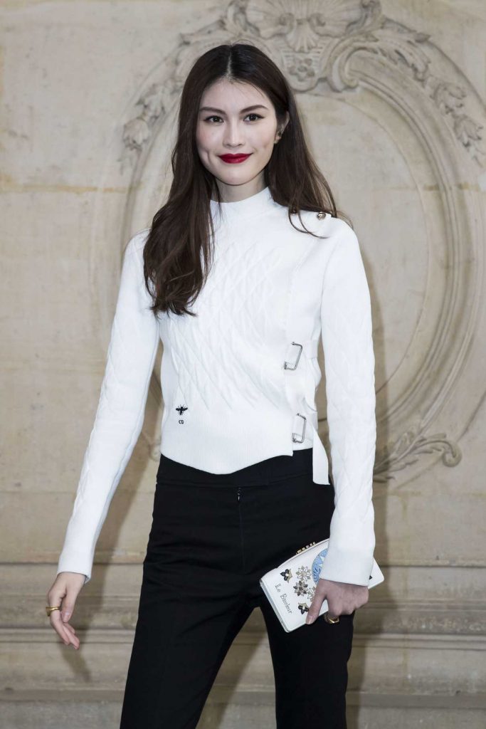 Sui He at the Christian Dior Show During the Paris Fashion Week 03/03/2017-1