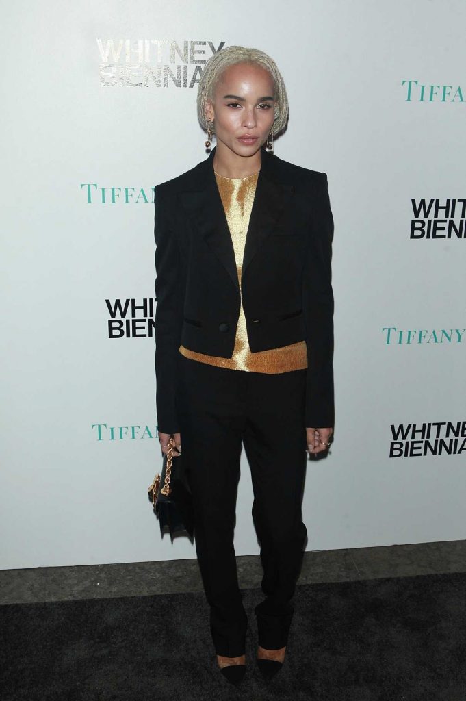 Zoe Kravitz at the 2017 Whitney Biennial Presented by Tiffany and Co in New York City 03/15/2017-1
