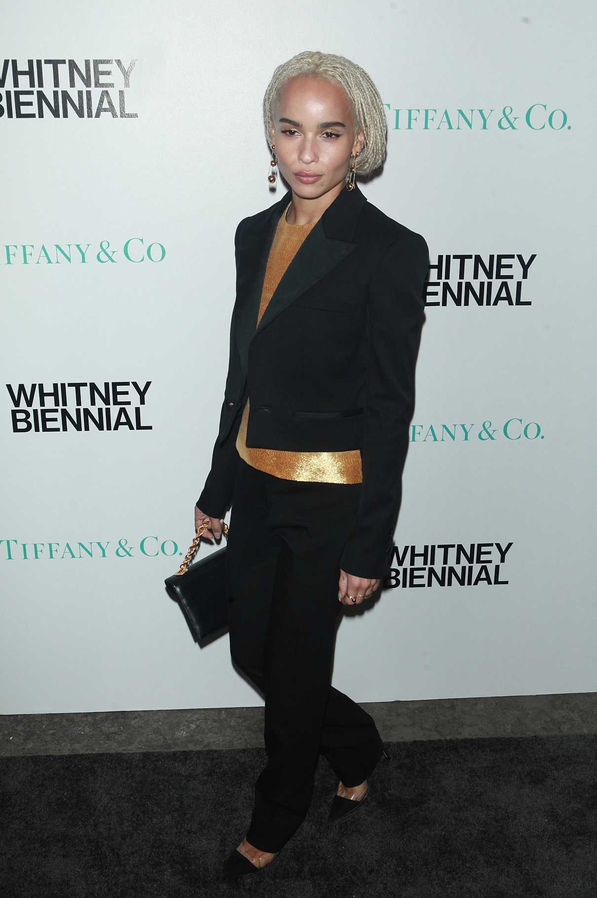 Zoe Kravitz at the 2017 Whitney Biennial Presented by Tiffany and Co in New York City 03/15/2017-3