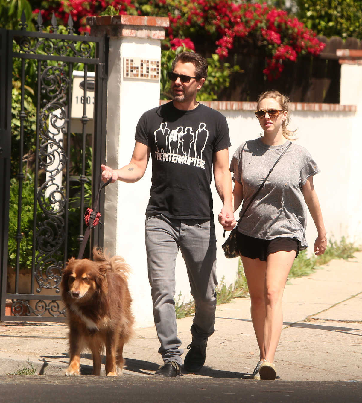 Amanda Seyfried and Her Husband Thomas Sadoski Walk Their Dog in Los Angeles 04/14/2017-2