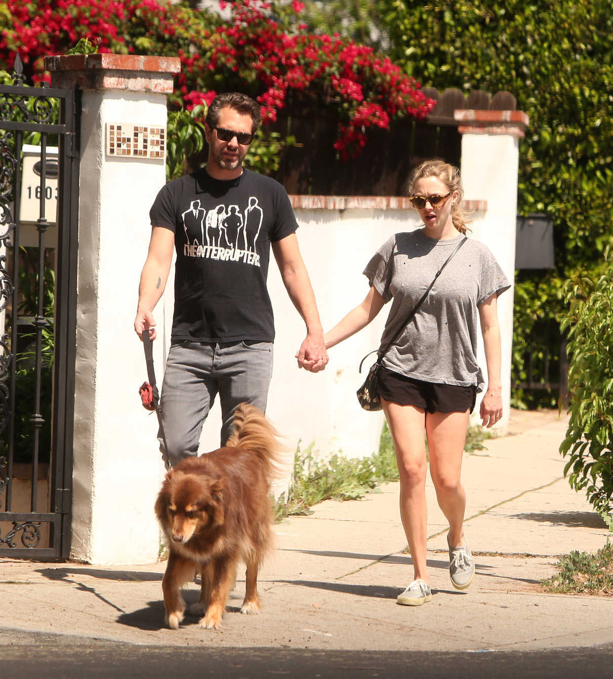 Amanda Seyfried and Her Husband Thomas Sadoski Walk Their Dog in Los Angeles 04/14/2017-3