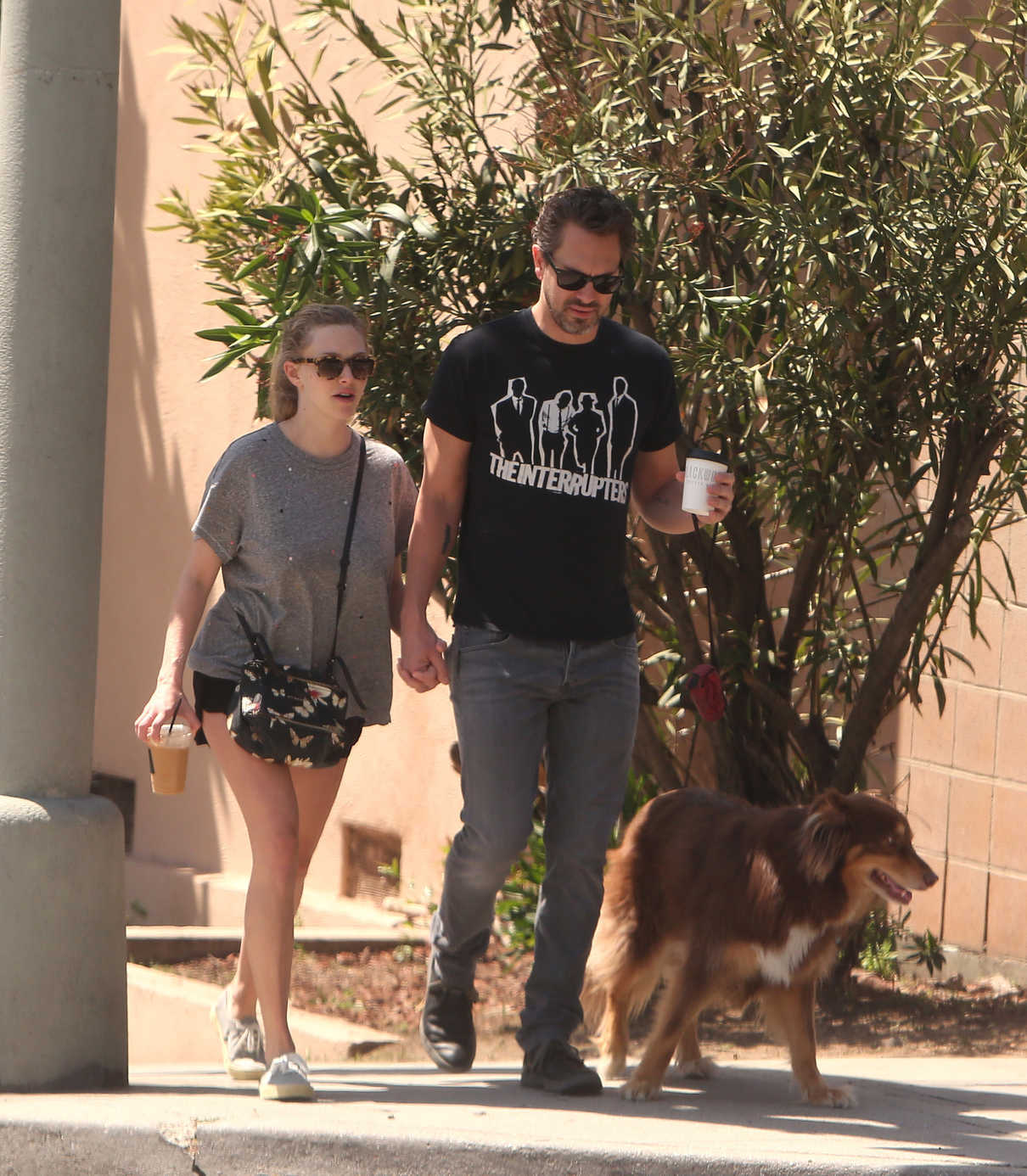 Amanda Seyfried and Her Husband Thomas Sadoski Walk Their Dog in Los Angeles 04/14/2017-4