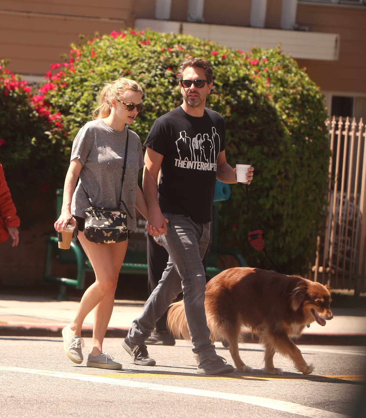 Amanda Seyfried and Her Husband Thomas Sadoski Walk Their Dog in Los Angeles 04/14/2017-5