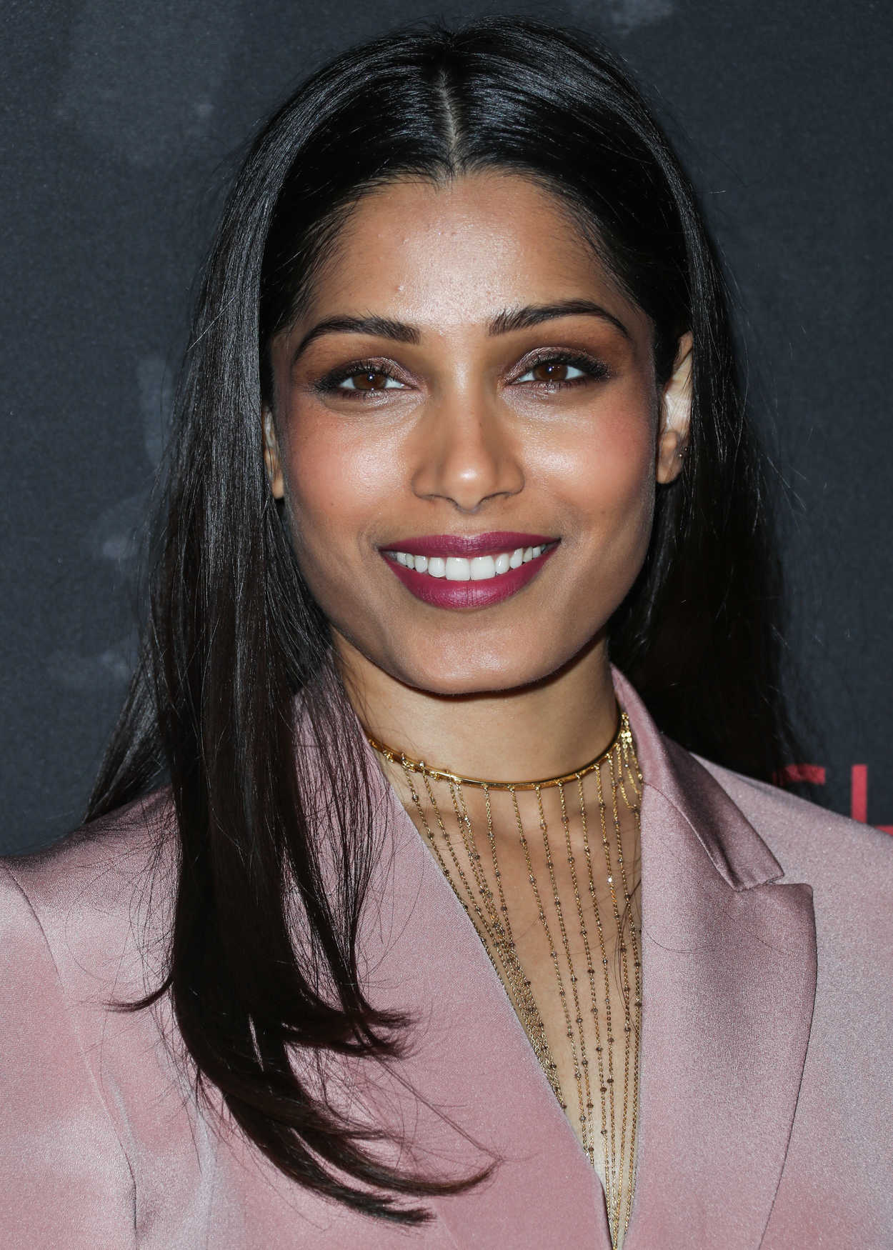 Freida Pinto at the Showtime's Guerrilla Emmy FYC Event in Beverly Hills 04/13/2017-5