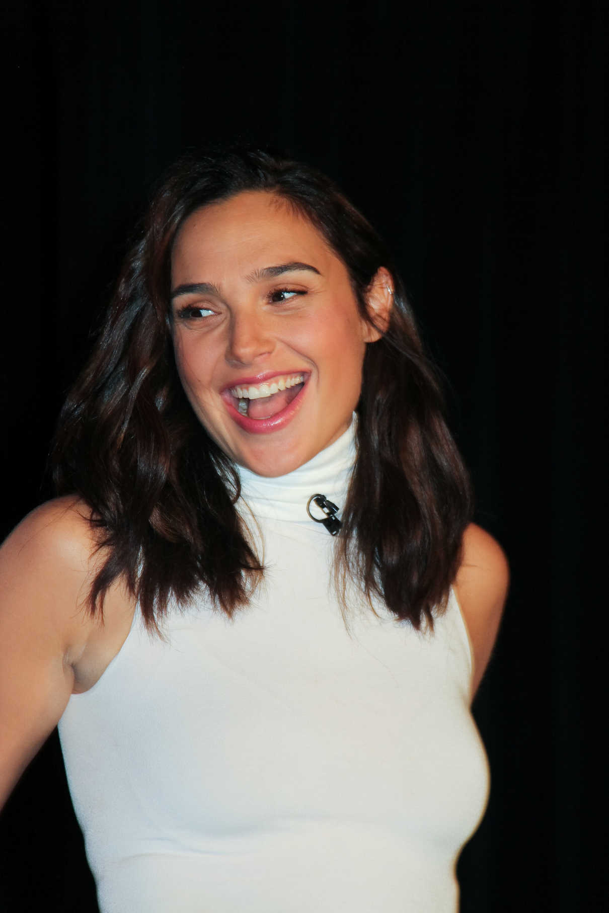 Gal Gadot at the Wonder Woman Press Conference in Culver City 05/21/2017-2