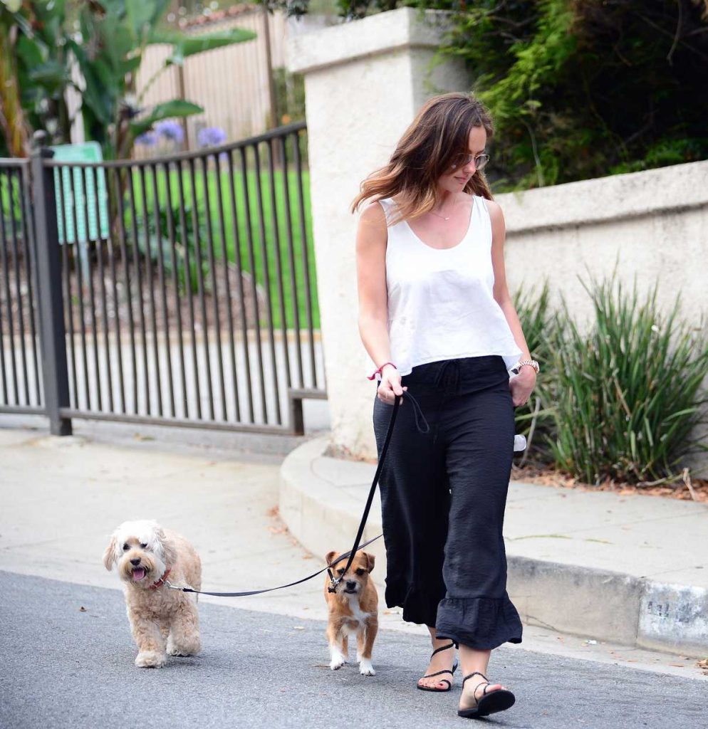 Minka Kelly Steps Out to the Park With Her Dogs in Los Angeles 06/26/2017-5