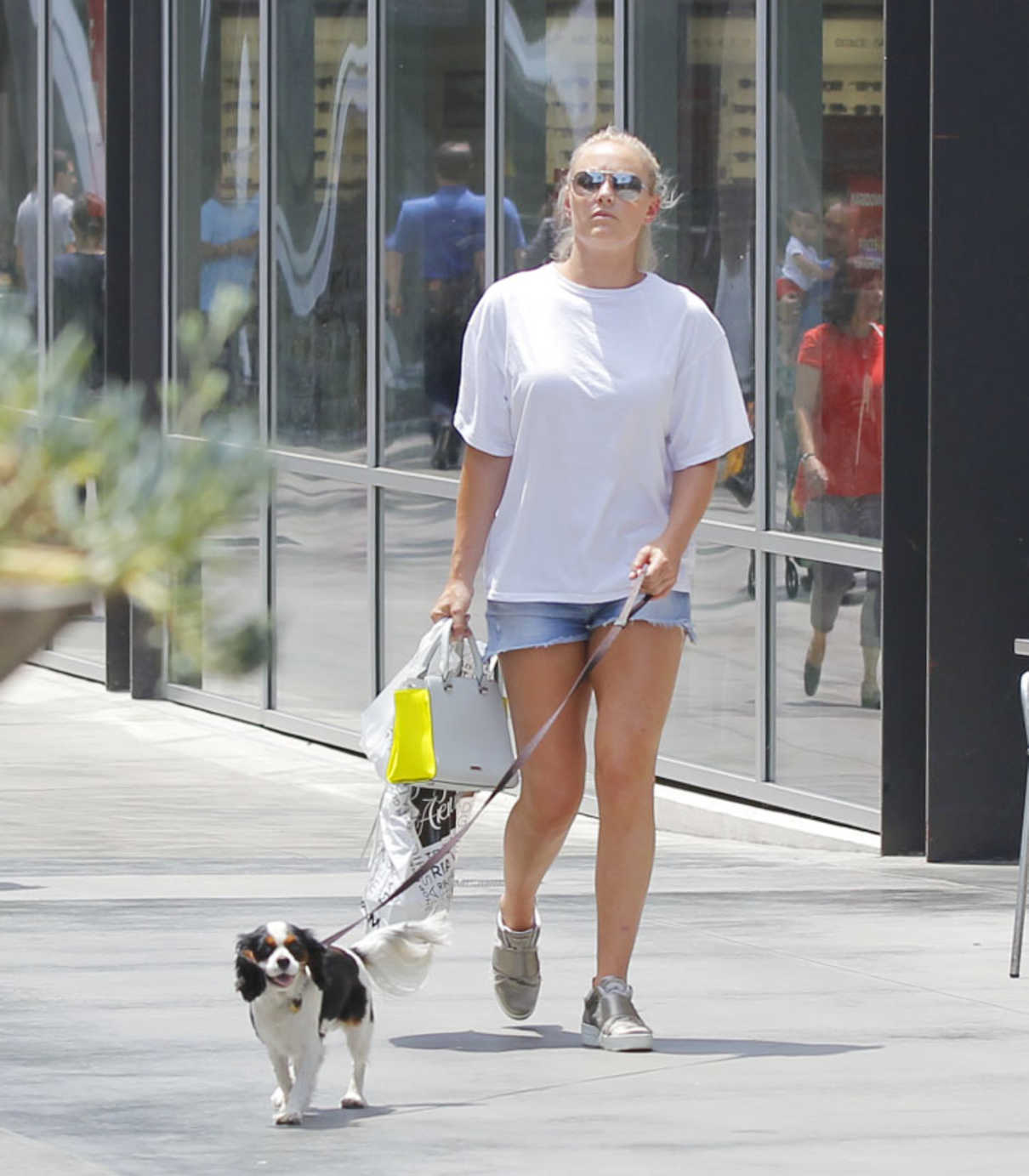 Lindsey Vonn Goes Shopping With Her Dog in Beverly Hills 07/09/2017 ...
