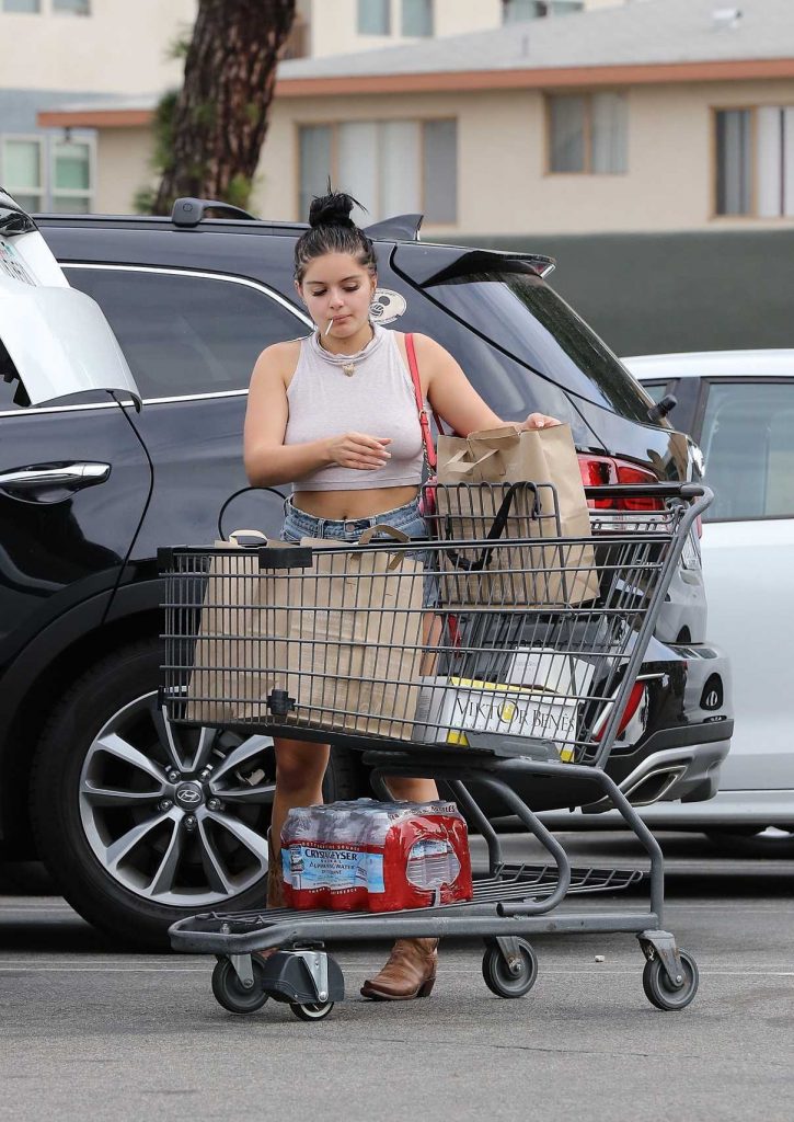 Ariel Winter Goes a Grocery Shopping at Gelson's Markets in Los Angeles 09/04/2017-1