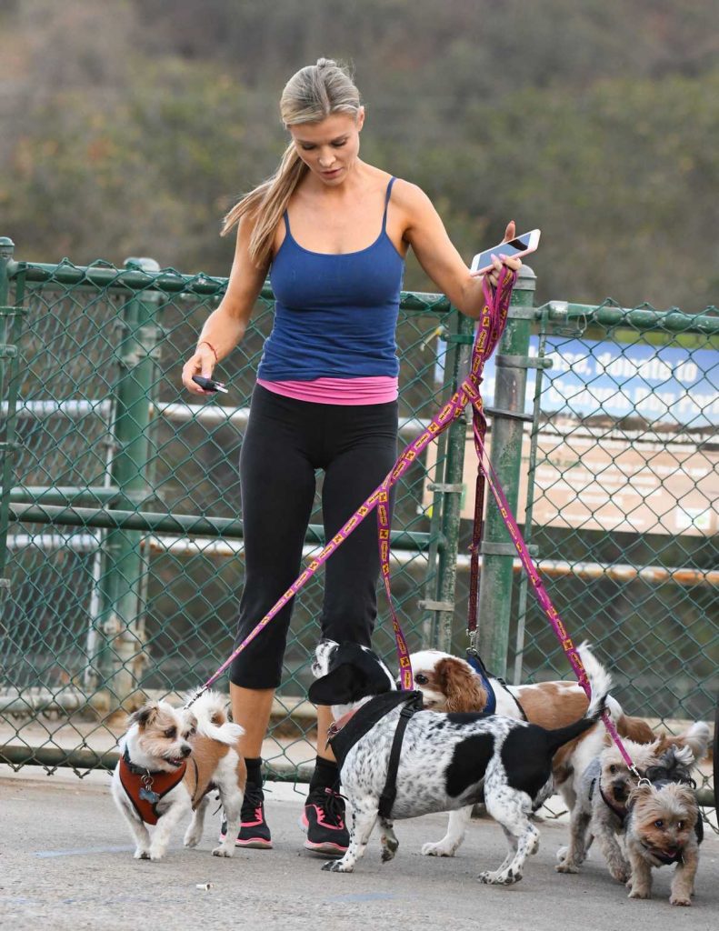 Joanna Krupa Walks Her Dogs in Los Angeles 08/30/2017-1