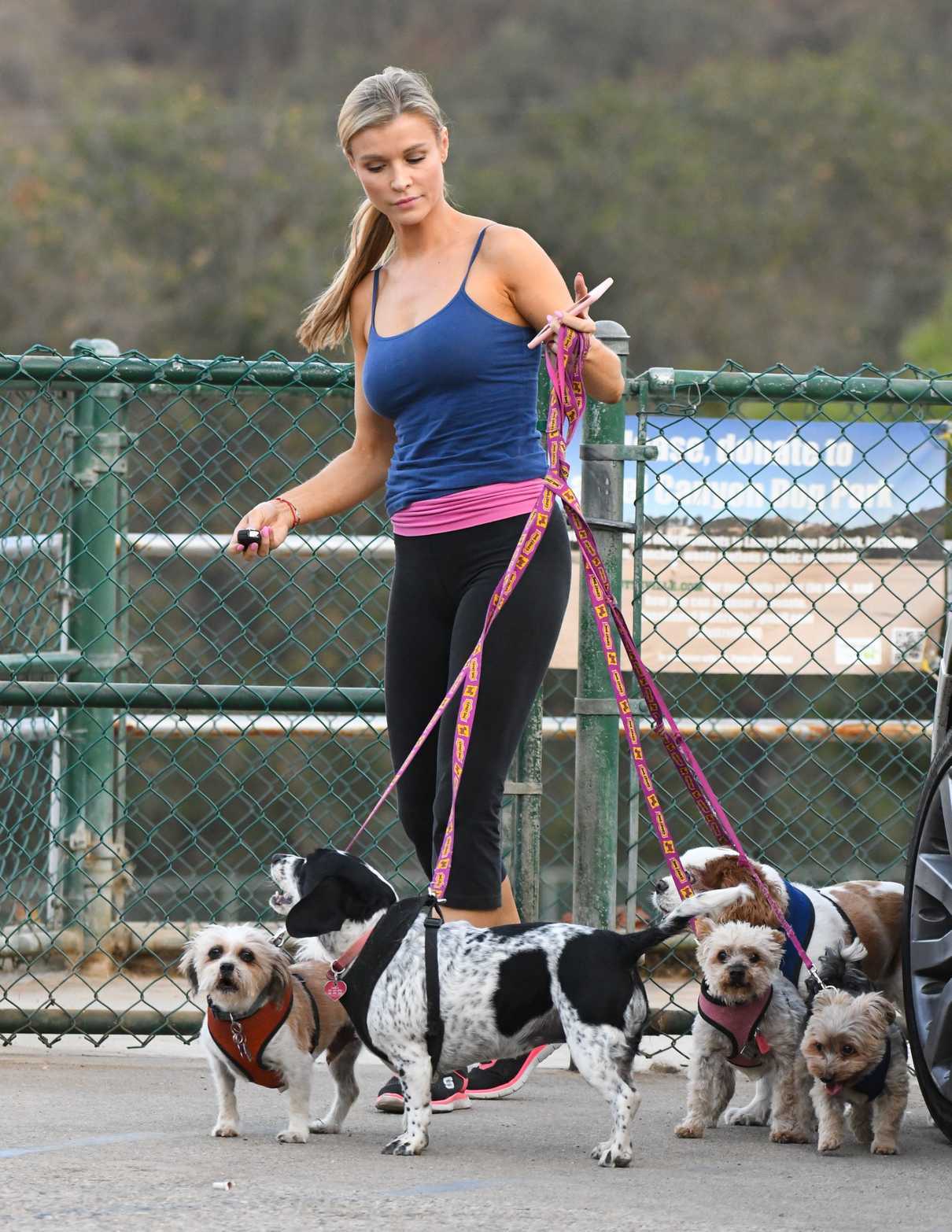 Joanna Krupa Walks Her Dogs in Los Angeles 08/30/2017-4