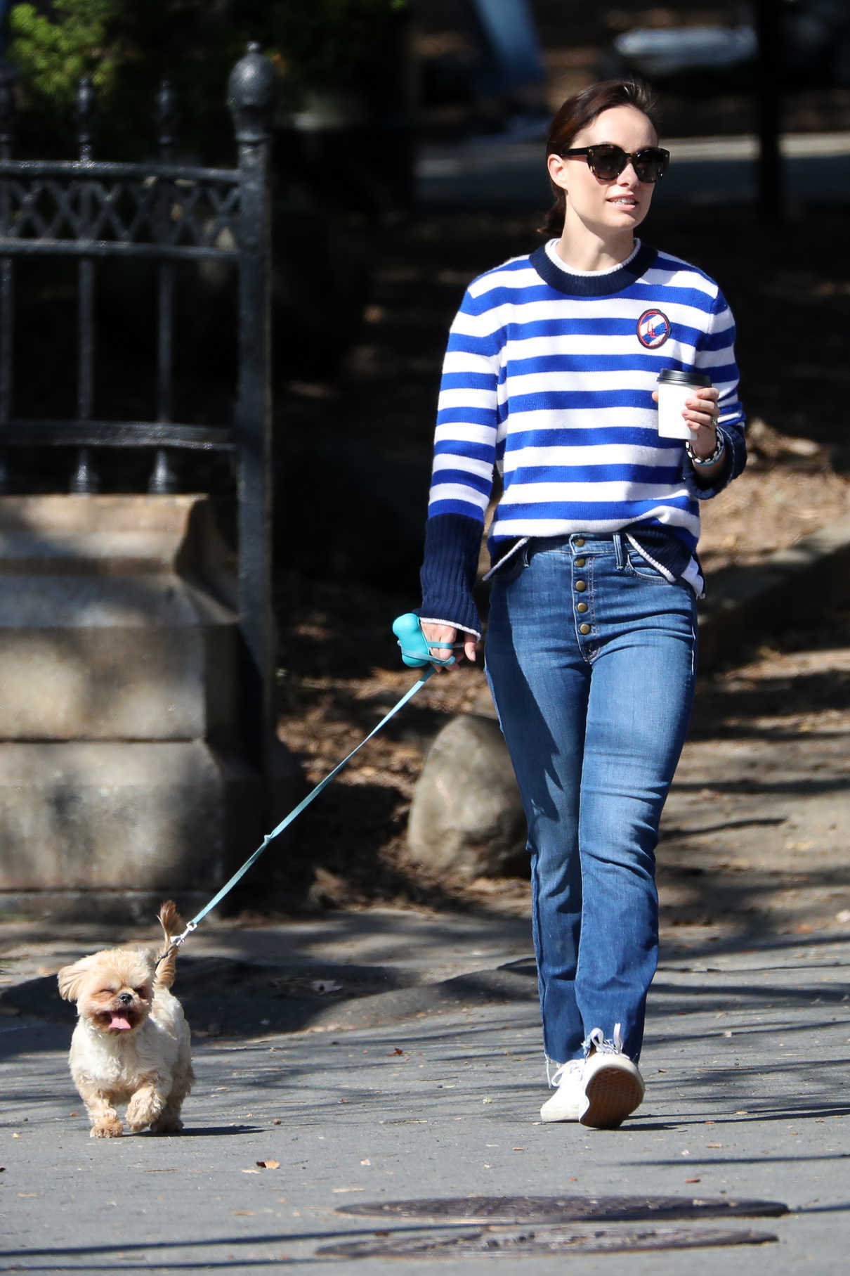 Olivia Wilde Walks Her New Dog Elvis Out in NYC 10/03/2017-4