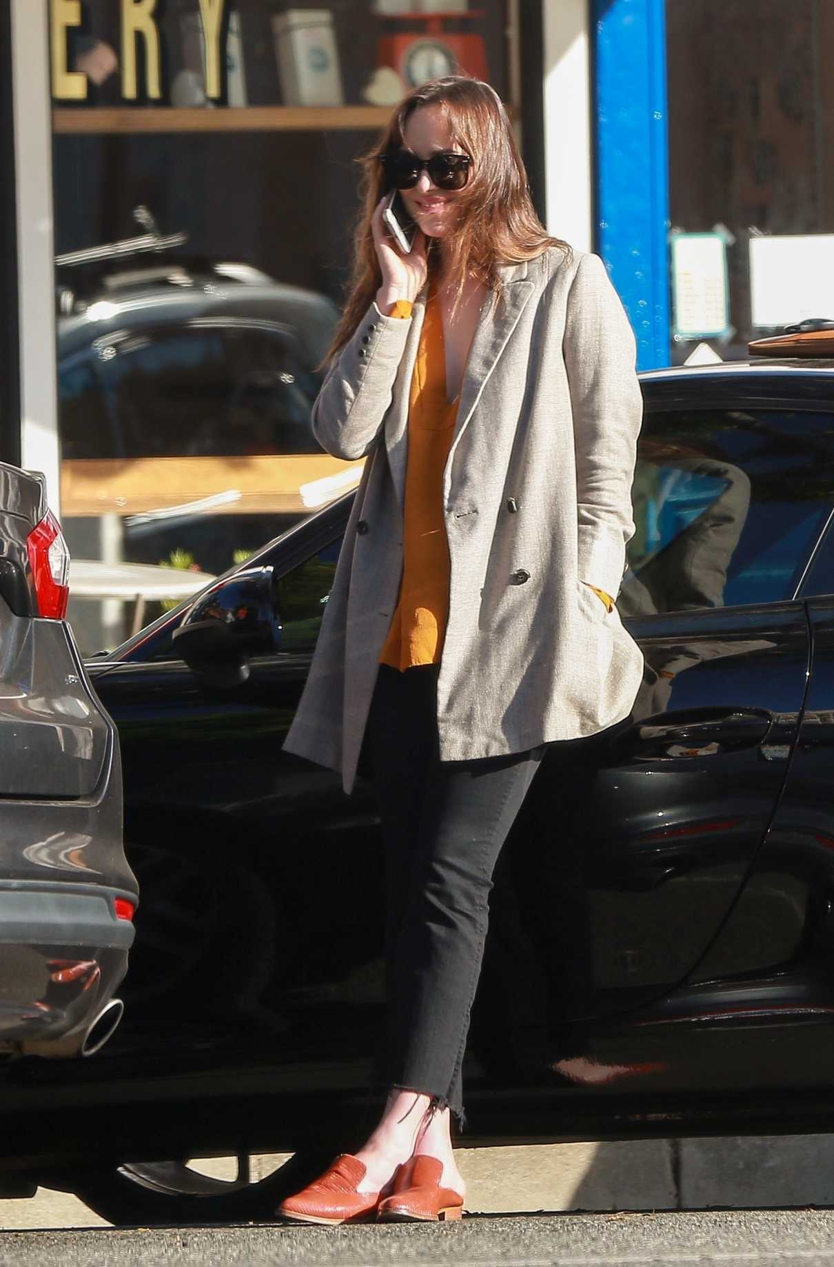 Dakota Johnson Was Spotted Out in Beverly Hills 11/09/2017-2
