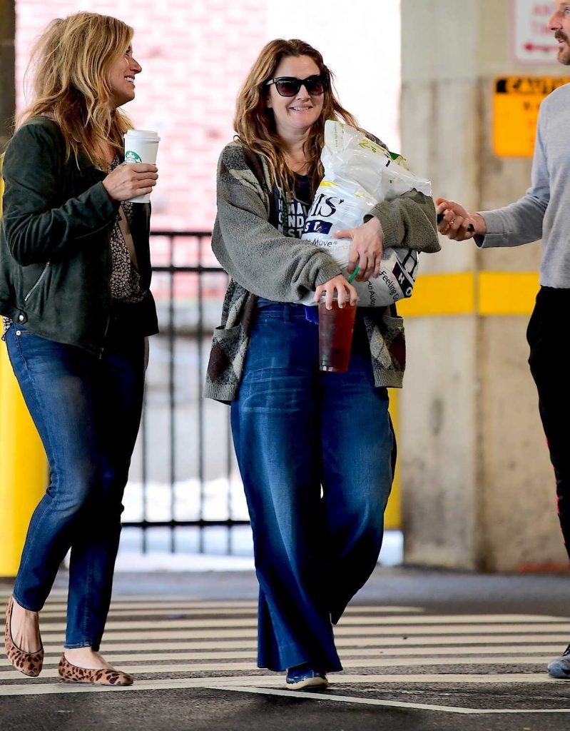 Drew Barrymore Was Seen Out in New York 11/25/2017-1