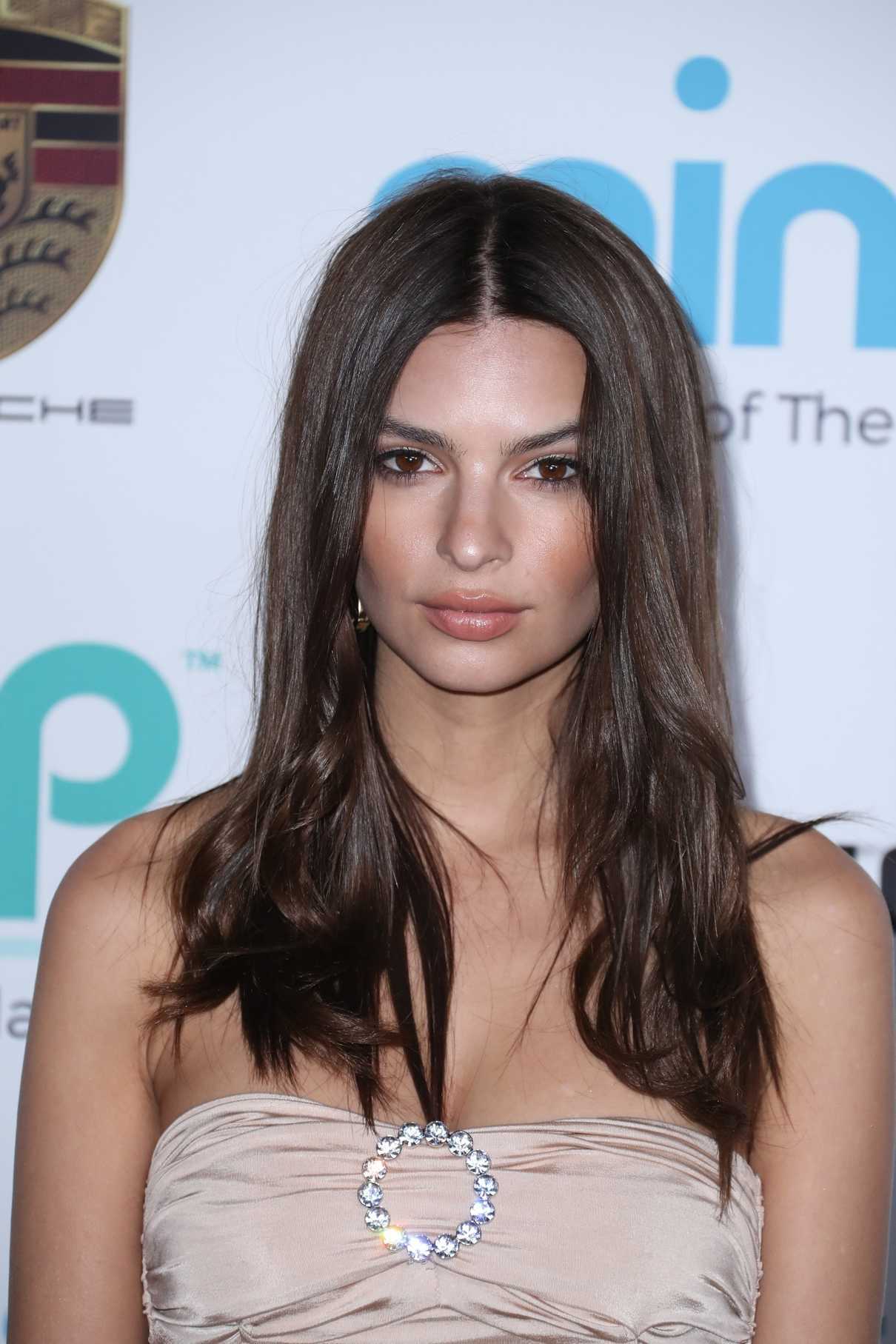 Emily Ratajkowski at 2017 The Hawn Foundation Gala at Ron Burkle’s Estate in LA 11/03/2017-5