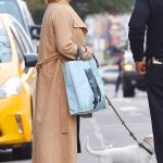 Haley Bennett Grabs a Cab With Her Dog Out in New York City 11/01/2017