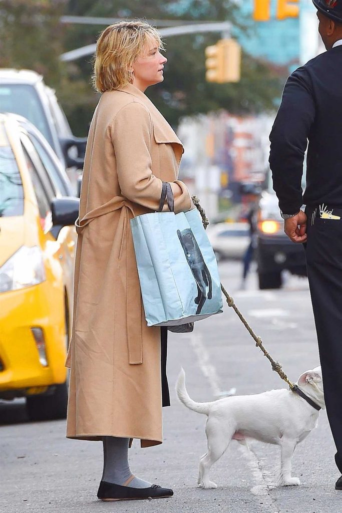 Haley Bennett Grabs a Cab With Her Dog Out in New York City 11/01/2017-1